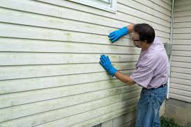 Best Custom Trim and Detailing for Siding  in Altoona, IA